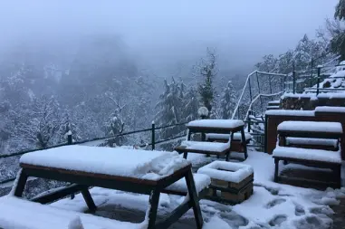 View surrounded with snow
